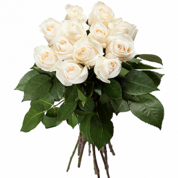 9 белых роз, бант